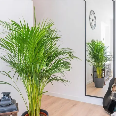 Legit - Old Town * 그단스크